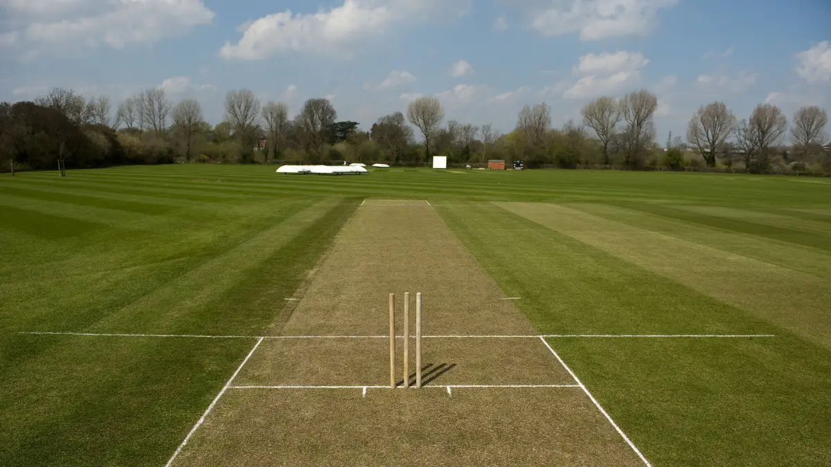 Cricket Pitch Length and Width, With Dimensions and Visual